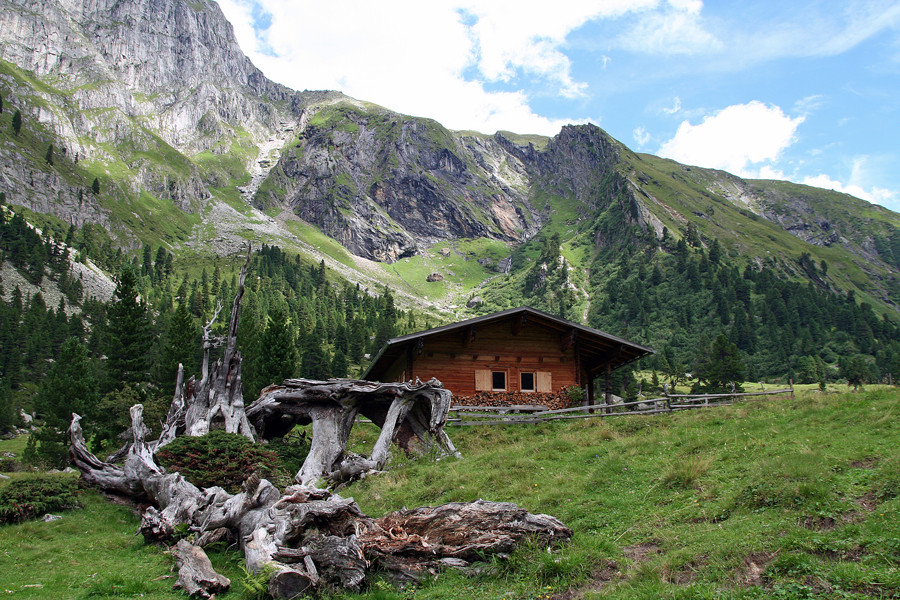 Auf der Alm