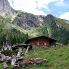 Auf der Alm