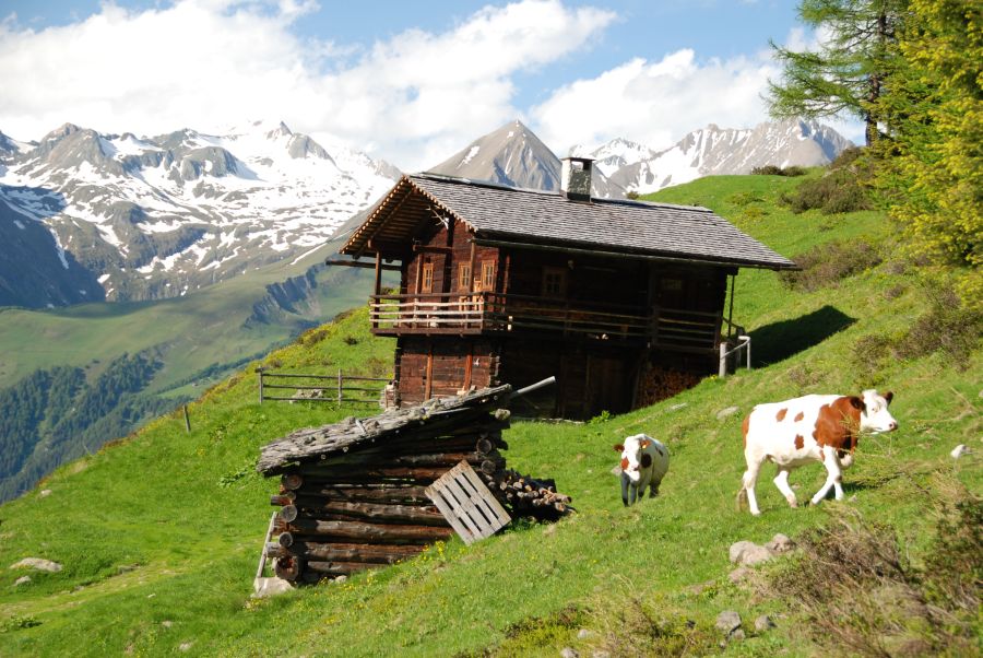 auf der Alm