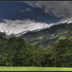 Auf der Alm