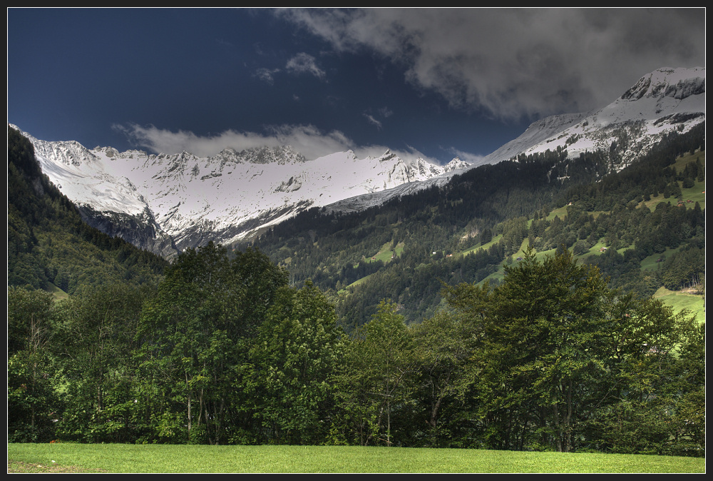 Auf der Alm