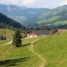 ....auf der Alm