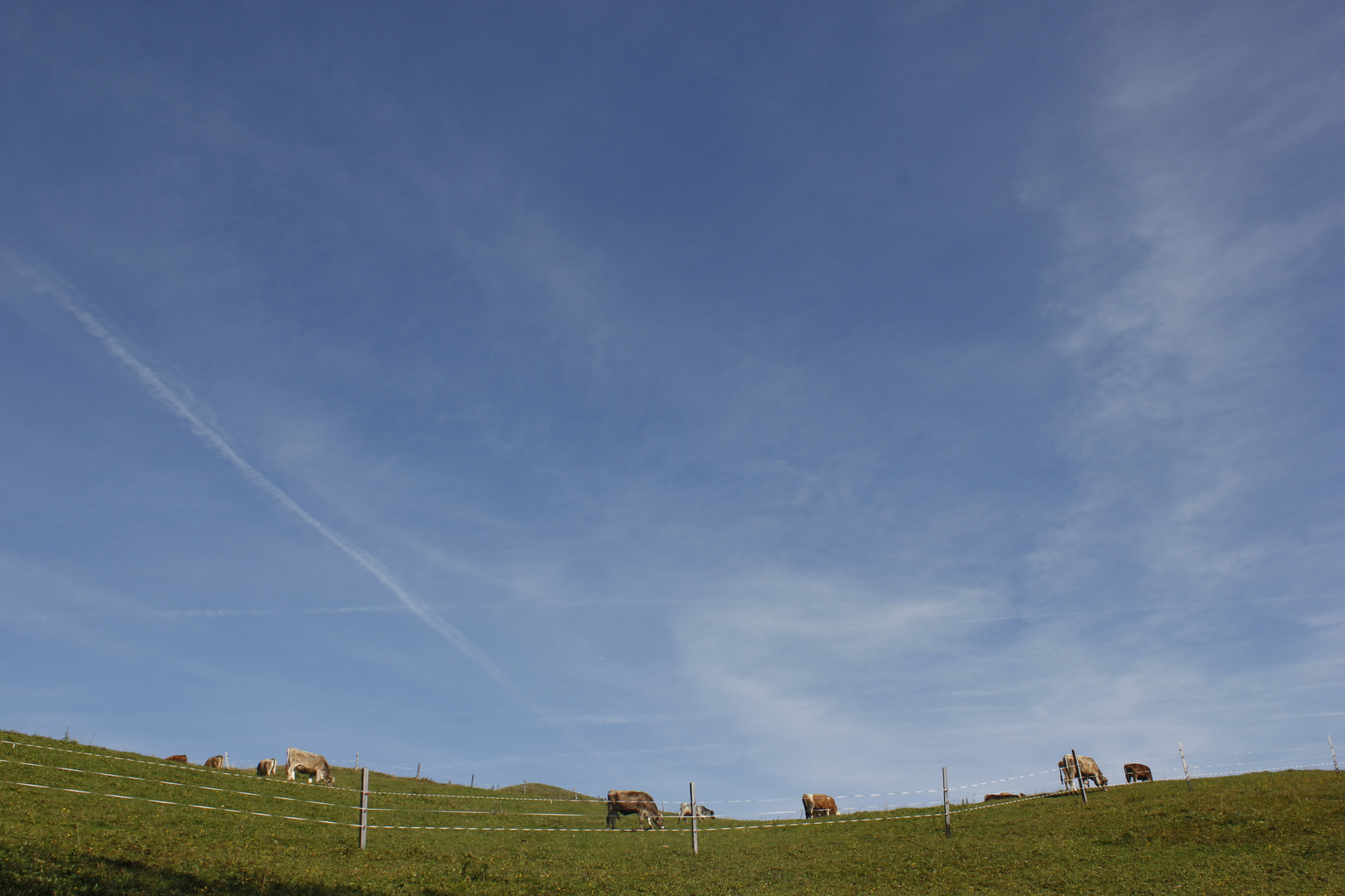 Auf der Alm...