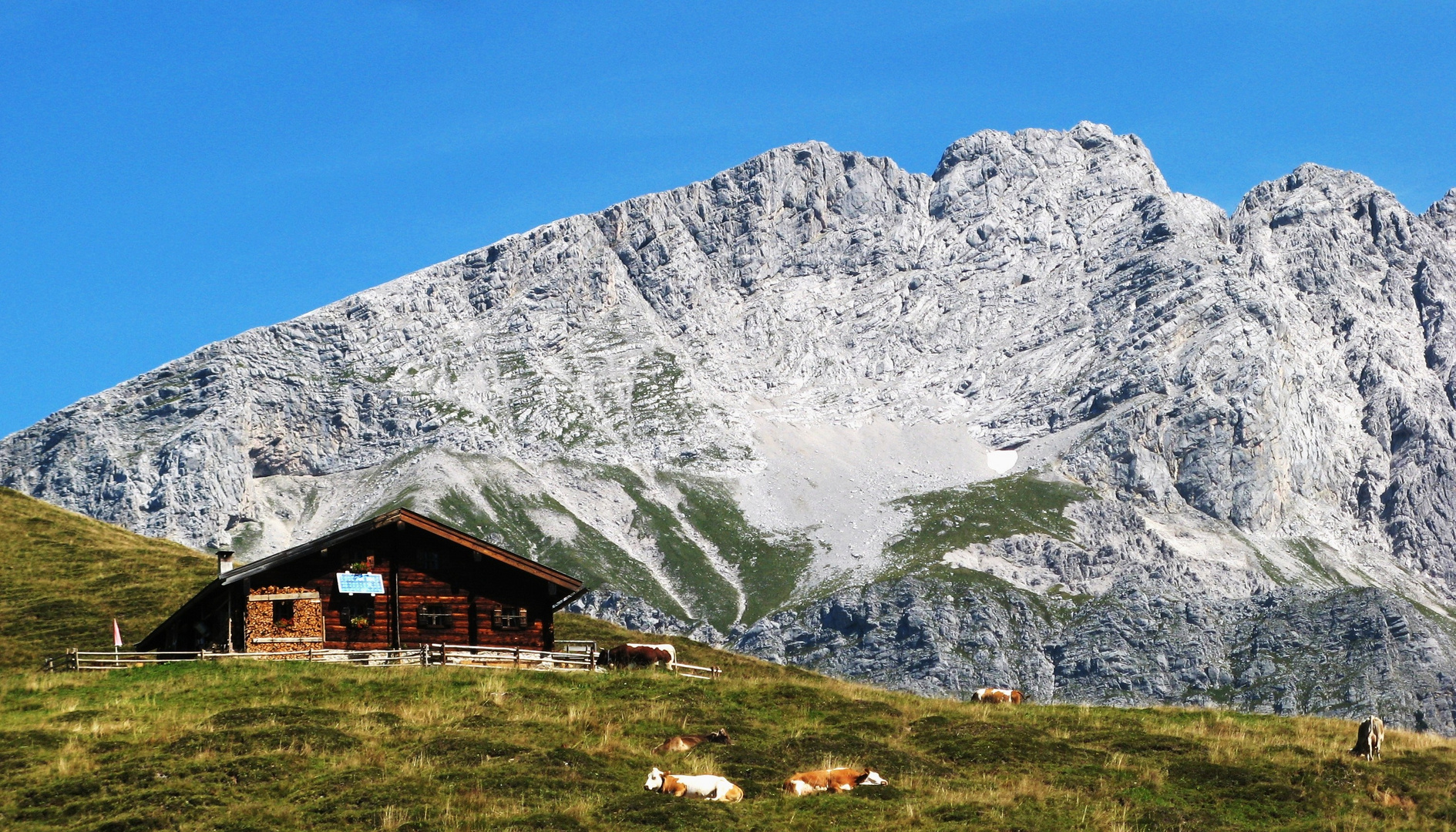 Auf der Alm...