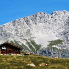 Auf der Alm...