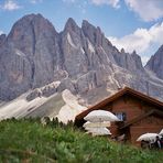 Auf der Alm da