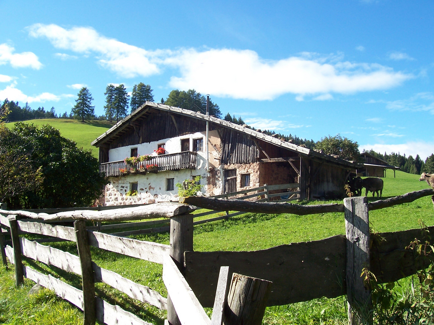 Auf der Alm da gibt´s koa Sünd´