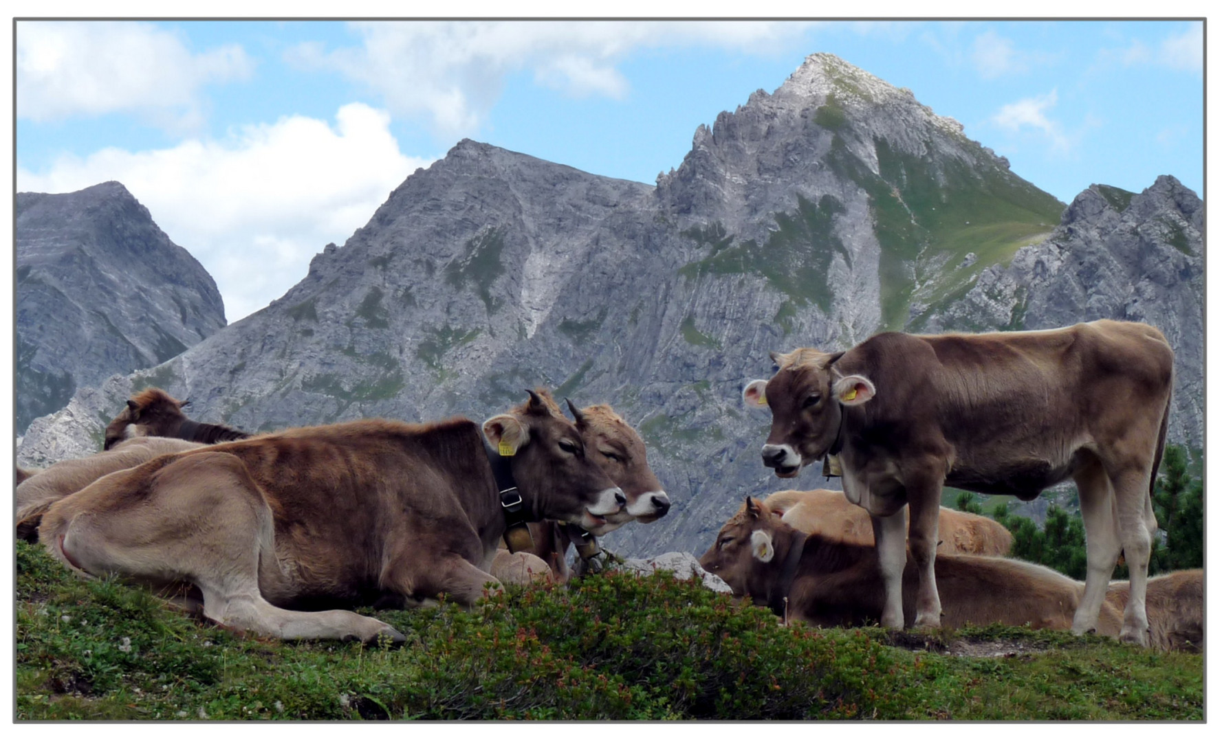 Auf der Alm da gibt´s kor Sind net !