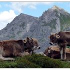 Auf der Alm da gibt´s kor Sind net !