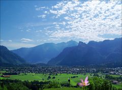 Auf der Alm, da ... jaja!