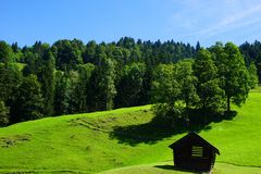 Auf der Alm..........