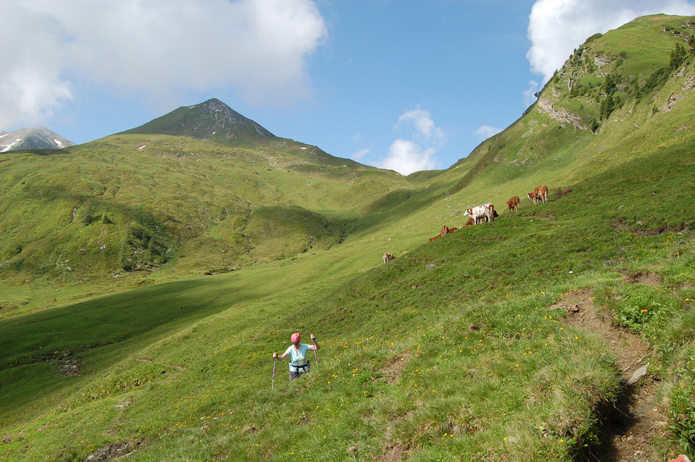 Auf der Alm