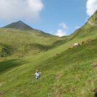 Auf der Alm