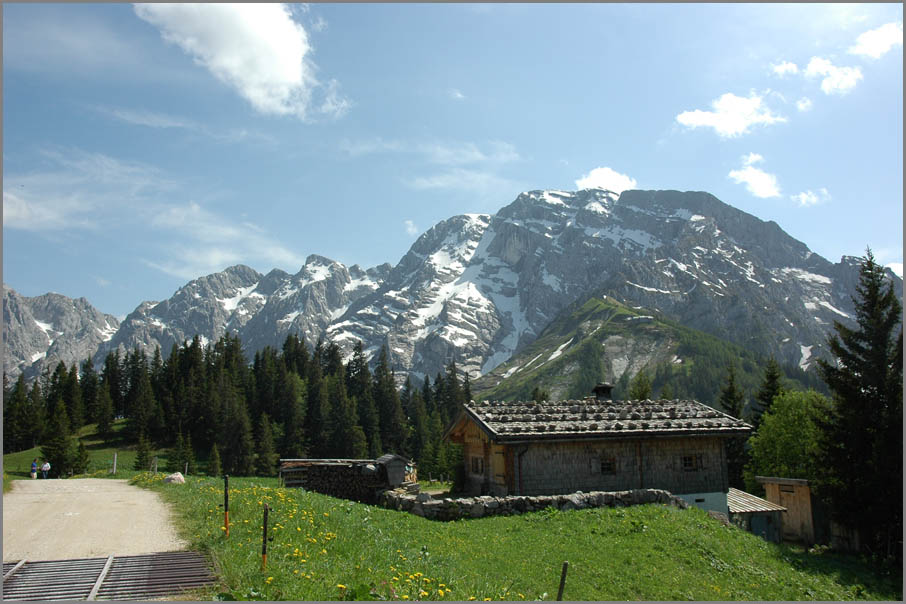 Auf der Alm...