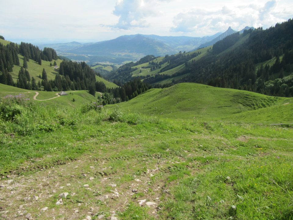 Auf der Alm