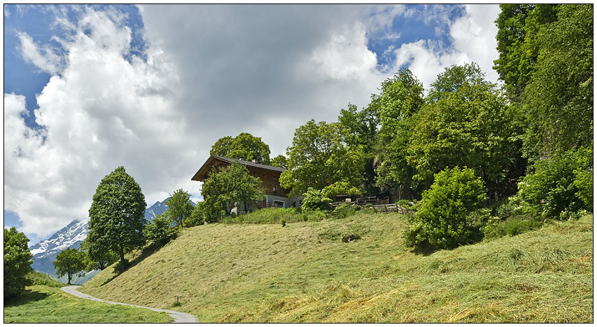 Auf der Alm