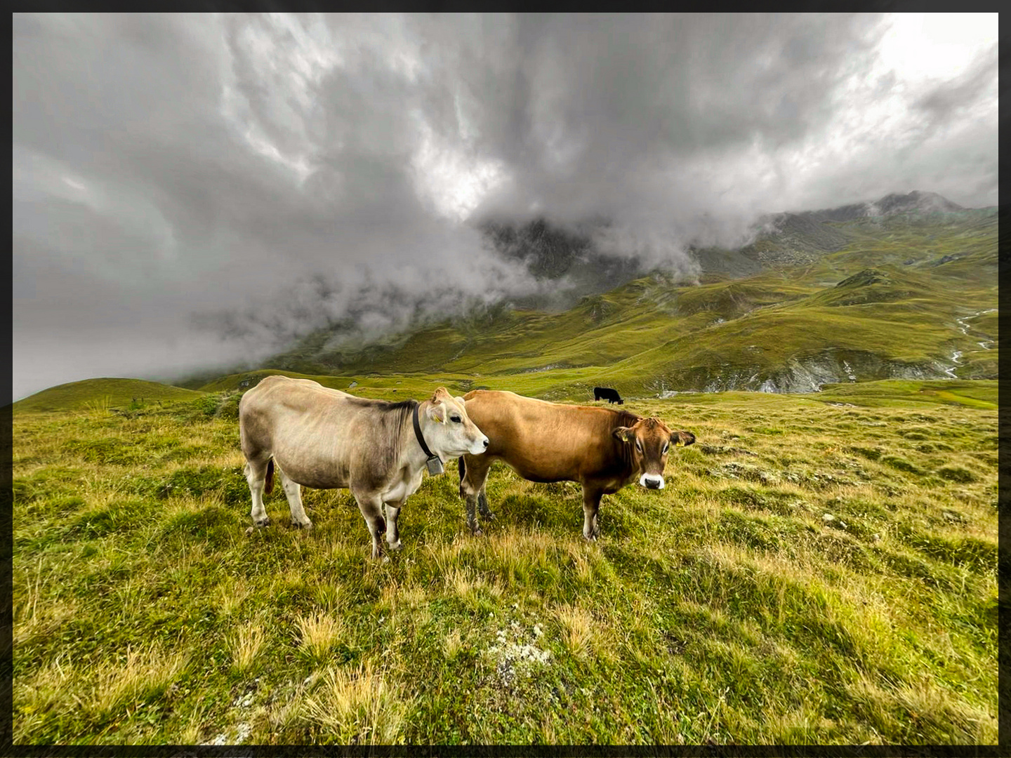 "Auf der Alm"