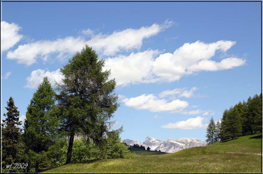 AUF DER ALM