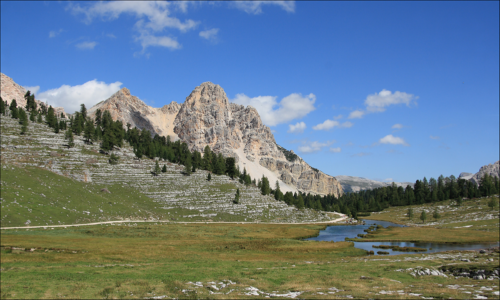 Auf der Alm II.