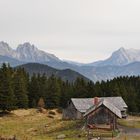 Auf der Alm in der Steiermark