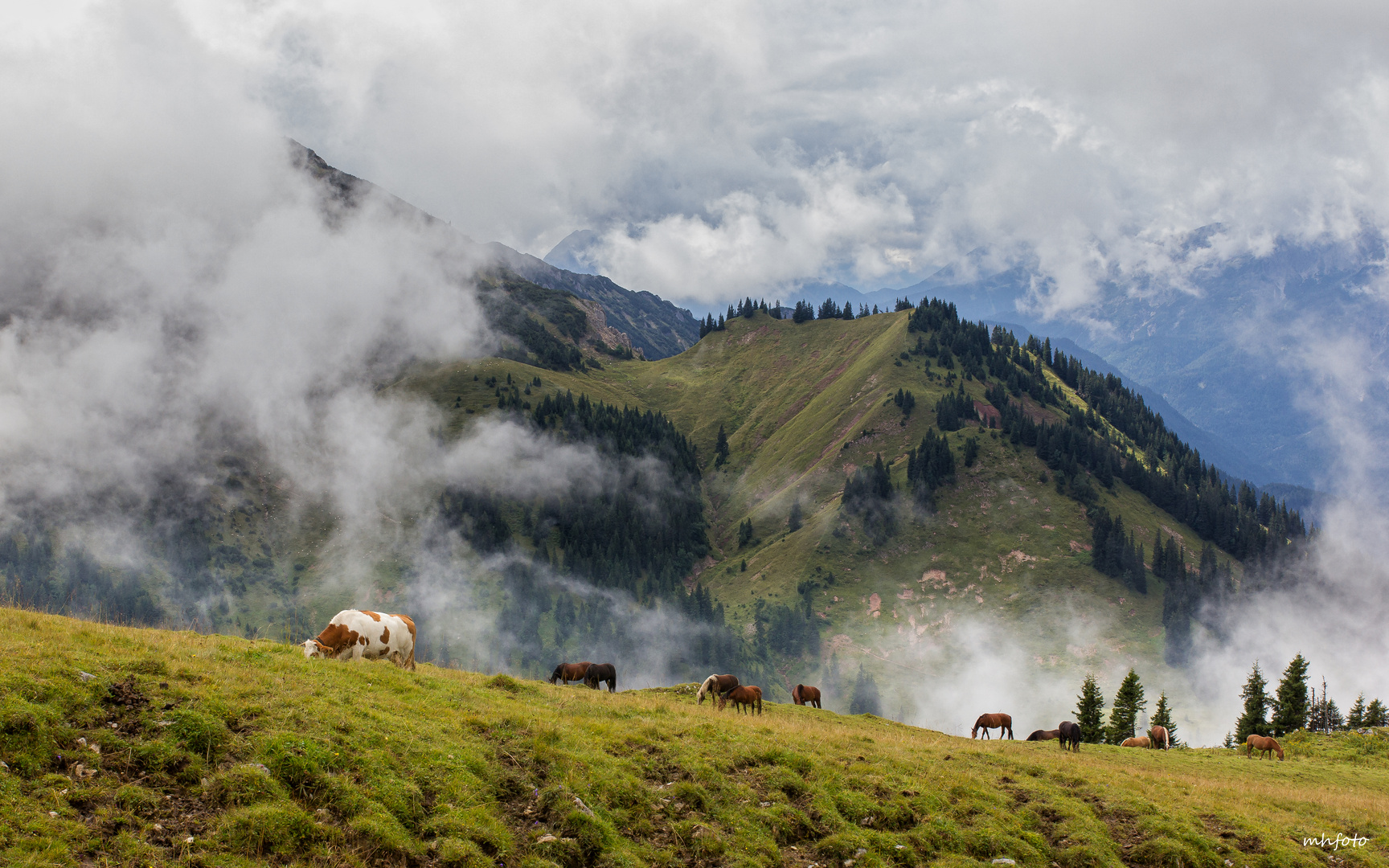 auf der Alm IV