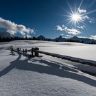 Auf der Alp