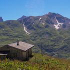 Auf der Alp