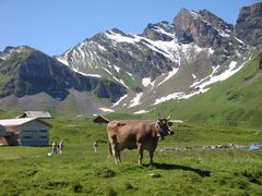 Auf der Alp