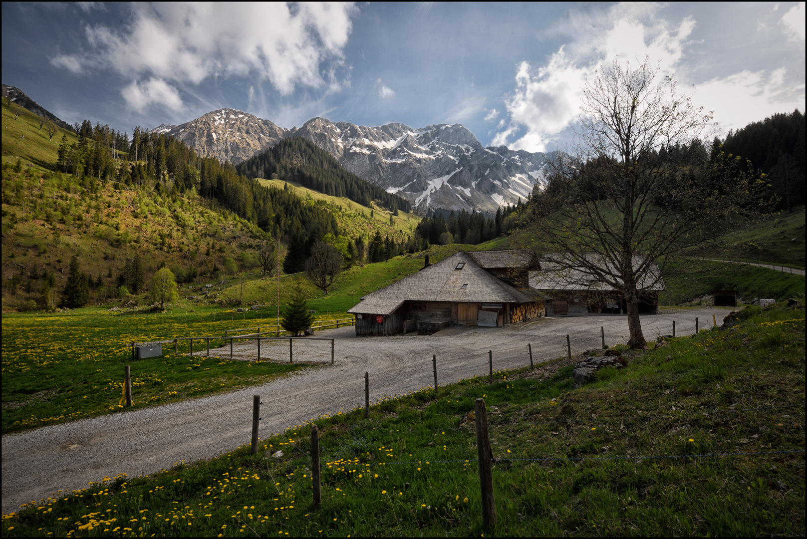 Auf der Alp