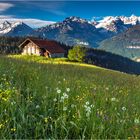 Auf der Alp