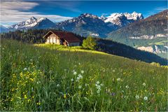 Auf der Alp