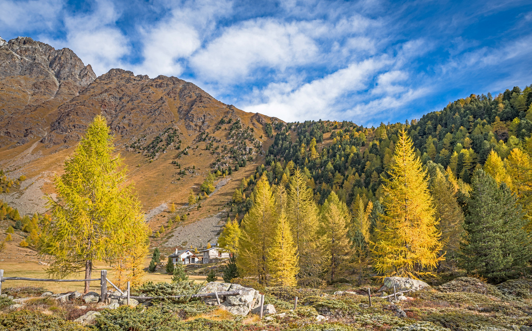 Auf der Alp da gibt's ... nur Gold