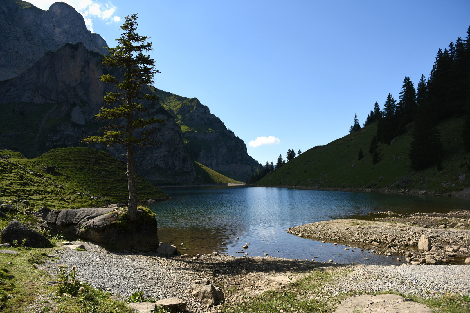 Auf der Alp die zweite !