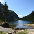 Auf der Alp die zweite !