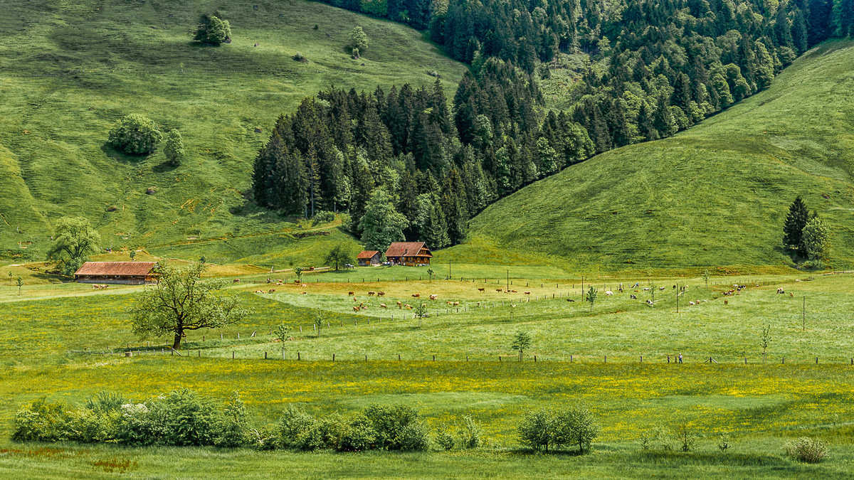 Auf der Alp