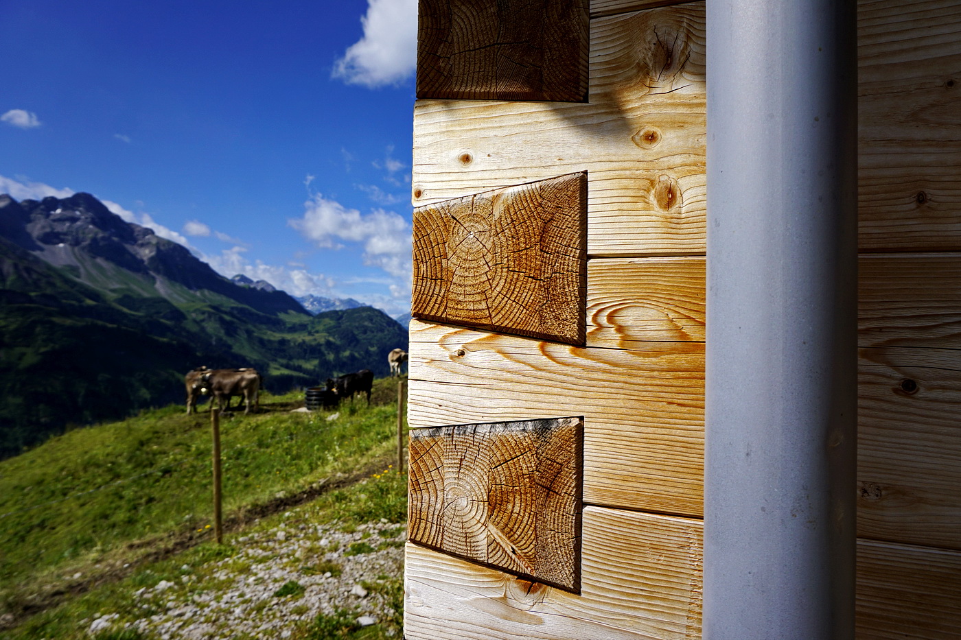 Auf der Alp,da gibts koa Sünd