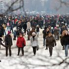 Auf der Alster war es voll