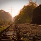 Auf der alten Eisenbahnbrücke