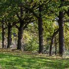 Auf der anderen Seite des Weges