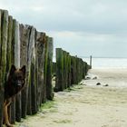 Auf der anderen Seite ist der Strand weißer...