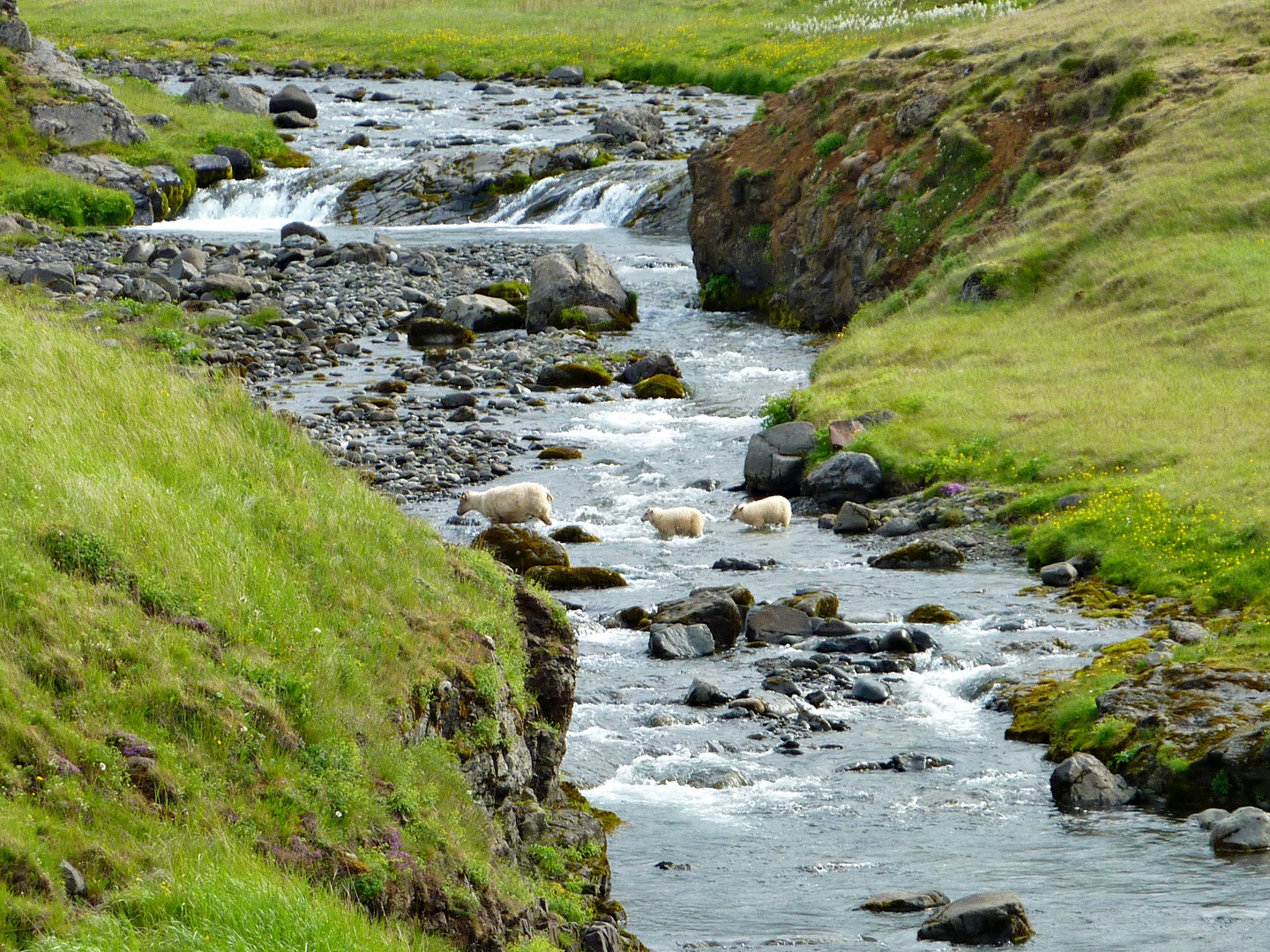 Auf der anderen Seite ist die Wiese immer grüner...................