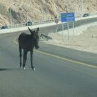 Auf der Autobahn;-)