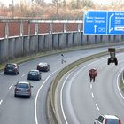 ---auf der Autobahn sind "Rindviecher" keine Seltenheit----