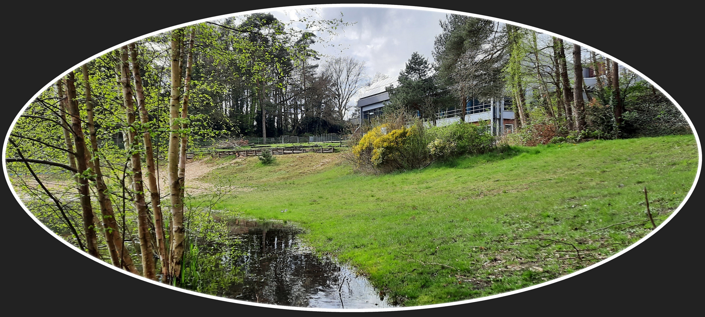 auf der Bank am See