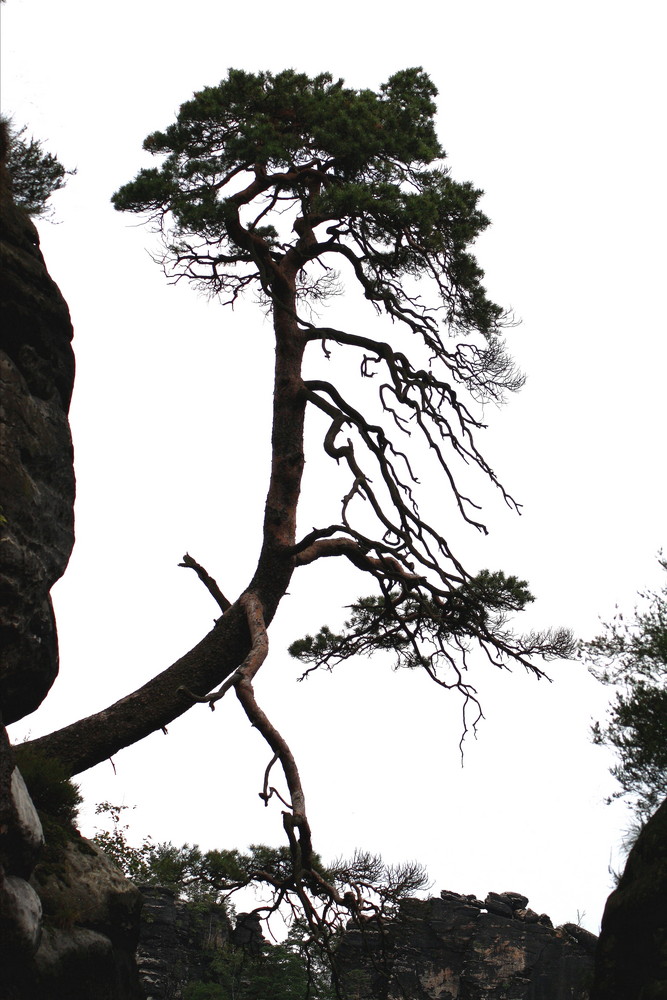 Auf der Bastei