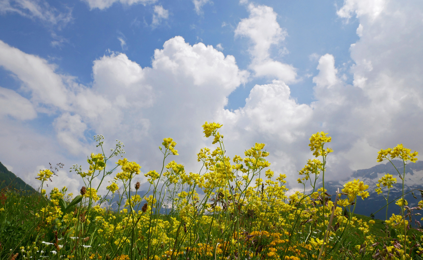 Auf der Bergwiese liegen und in den Himmel schauen