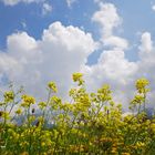 Auf der Bergwiese liegen und in den Himmel schauen