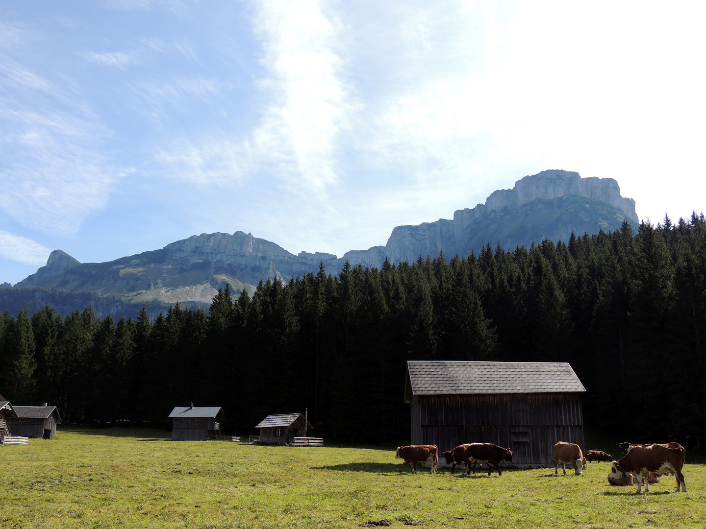 auf der Blaa Alm