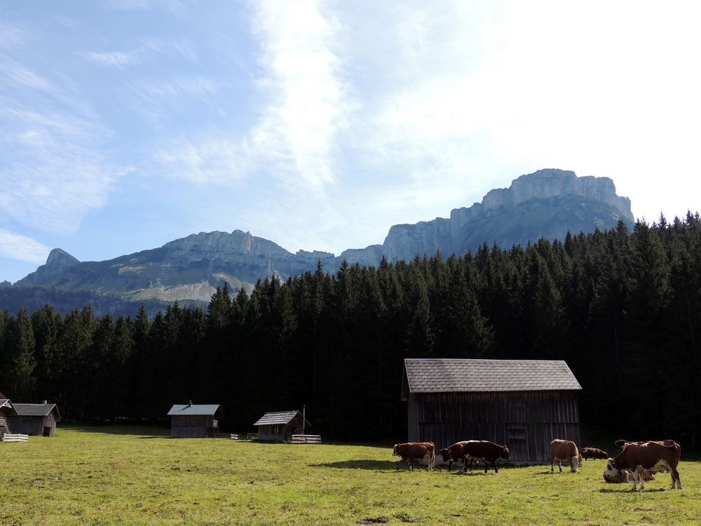 auf der Blaa Alm