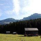 auf der Blaa Alm